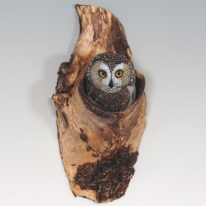 Hand Carved Saw Whet Owl in knothole