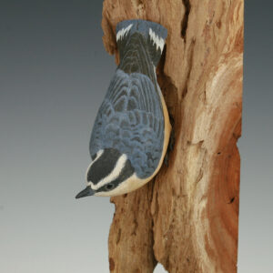 Red-breasted Nuthatch