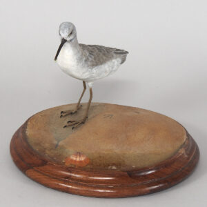 Hand Carved Shorebird
