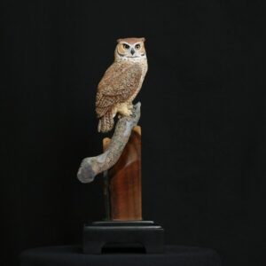 Miniature Horned Owl