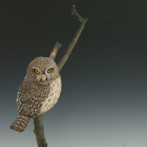 Hand Carved Pygmy Owl on Branch