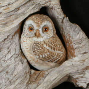 Pygmy Owl Hand Carved