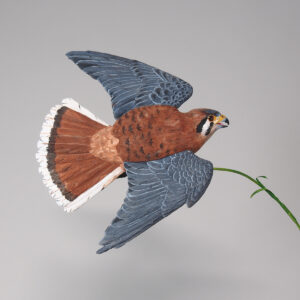 Flying Kestrel