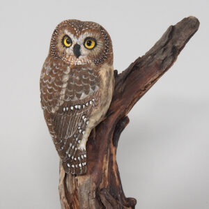 Hand Carved Saw Whet Owl