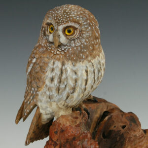 Hand Carved Pygmy Owl on Manzanita