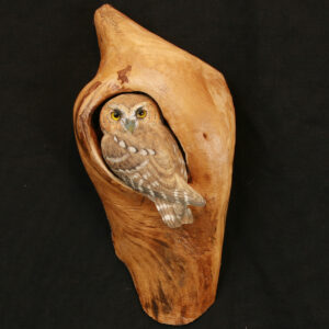 Lifesize Elf Owl- Handcarved and Painted