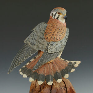 Hand Carved Kestrel Stretching with Flaired tail