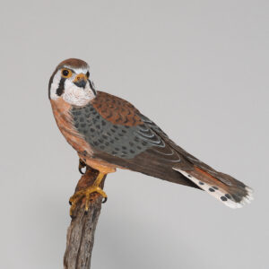 Hand Carved Kestrel