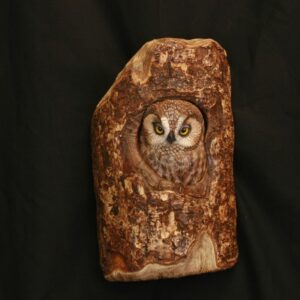 Myrtle Tree Pygmy Owl