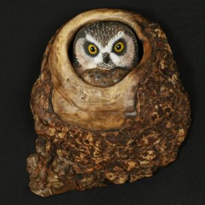 Hand Carved Saw-whet Owl in a Myrtlewood Tree knot