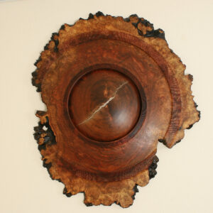 "Beginning" Turned Wall Sculpture