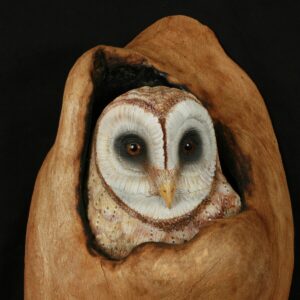 Barn Owl Hand Carved