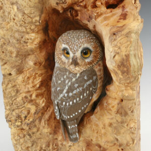Hand Carved Saw Whet Owl