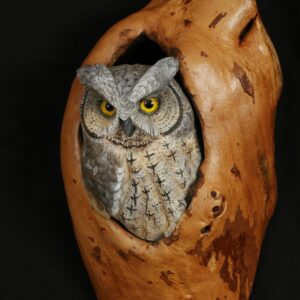 Hand Carved Western Screech Owl in Myrtle