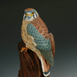 Kestrel