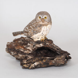 Hand Carved Pygmy Owl