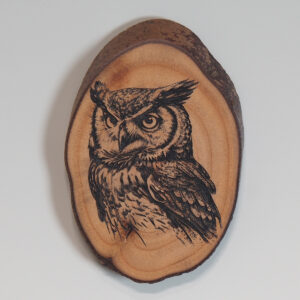 Engraved Owl Magnet