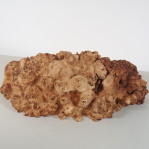 Maple Burl Cap Wedge 21x7x6