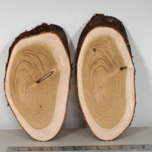 Cherry Slabs Set of 2 CH20-03