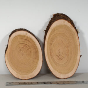 Cherry Slabs Set of 2 CH20-04