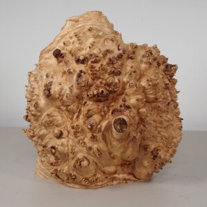 Maple Burl Cap 10x11x4 MP555